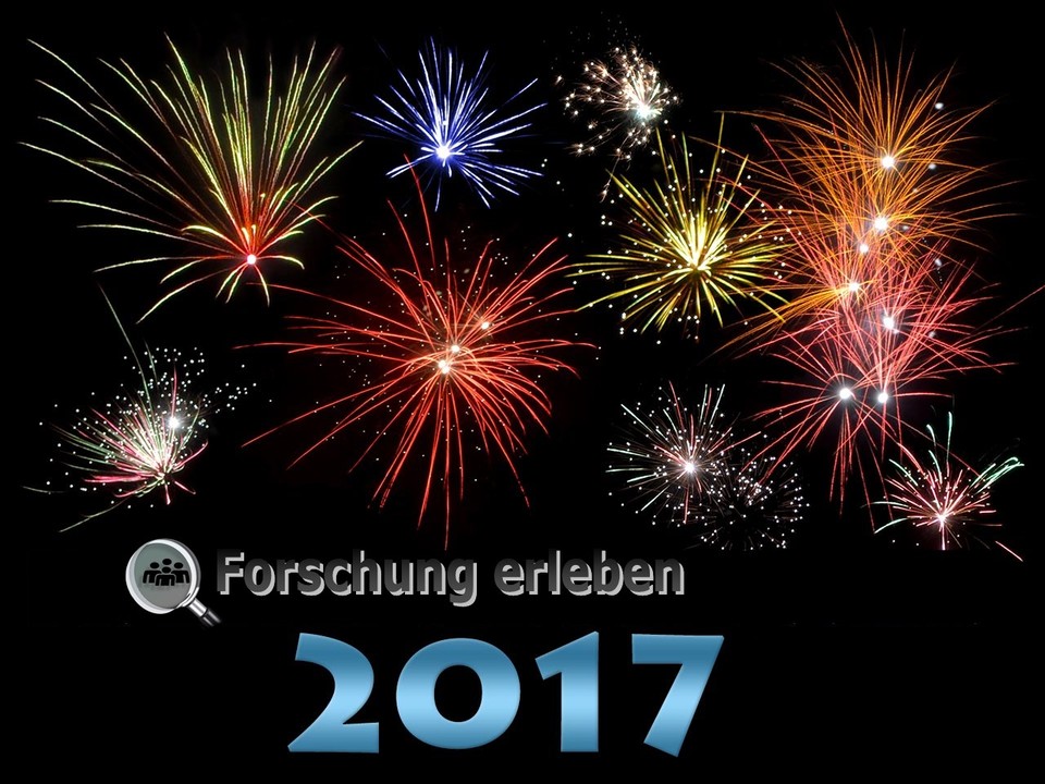 Ein buntes Feuerwerk auf schwarzem Hintergrund, darunter der Schriftzug "Forschung erleben 2017"