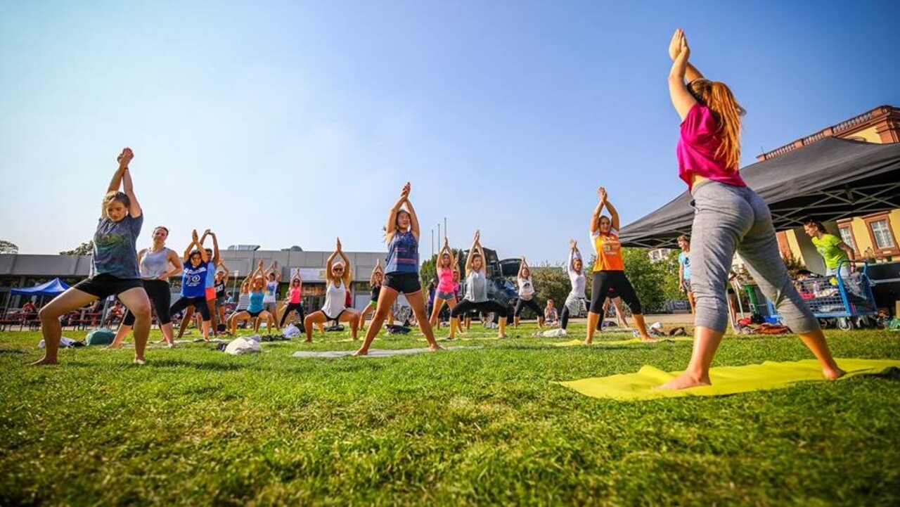 Junge Studentinnen machen auf einer grünen Wiese Yoga. Sie tragen bunte, sommerliche Sportbekleidung.