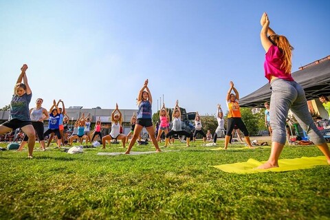 Junge Studentinnen machen auf einer grünen Wiese Yoga. Sie tragen bunte, sommerliche Sportbekleidung.