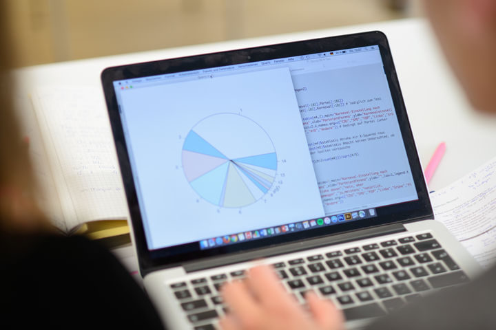 Ein aufgeklappter Laptop, auf dem ein Tortendiagramm gezeigt wird. Umrisse von zwei Personen, die auf den Bildschirm schauen..