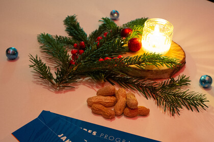 Weihnachtlich dekorierter Tisch mit Flyern zum Jahresprogramm des Hochschul Didaktik Zentrum