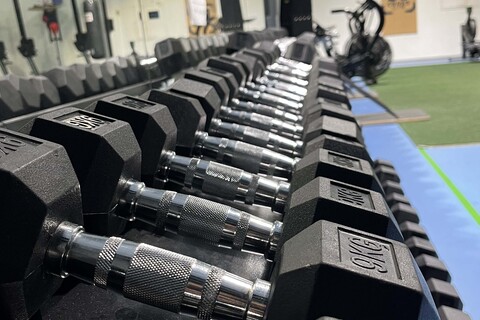 Kurzhanteln im 55 CrossGym Studio