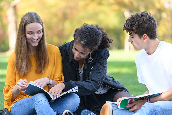 Drei Studierende sitzen mit ihren Büchern auf einer Wiese.