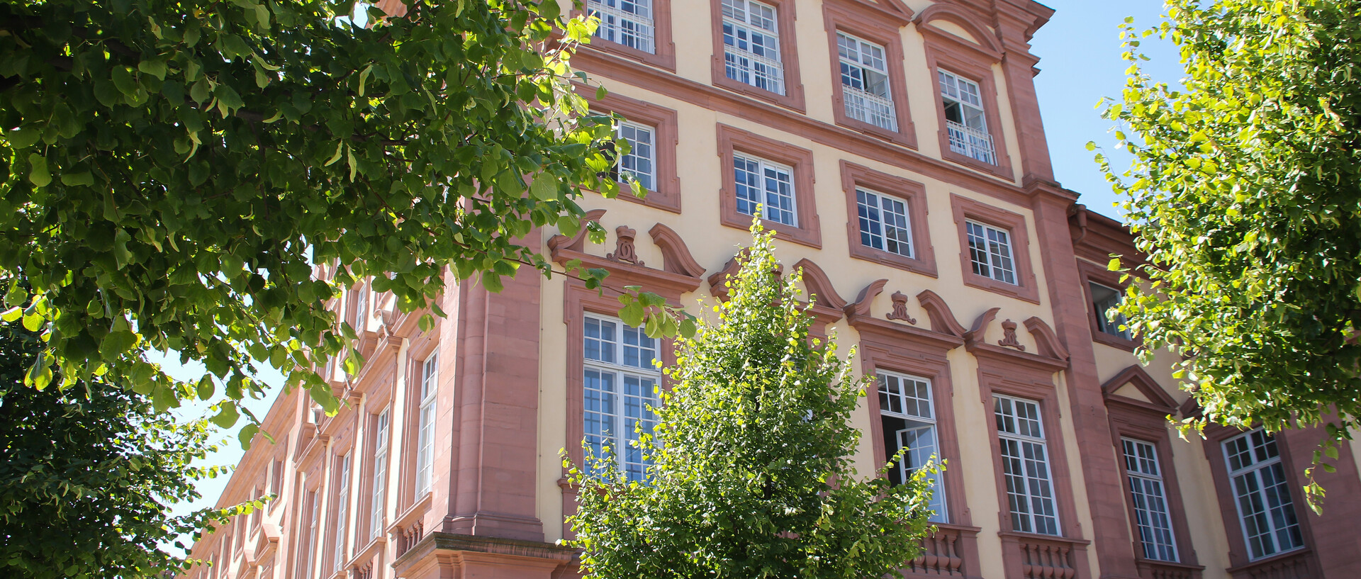 Dekoratives Bild, auf welchem der Teil der Teil des Schlosses, in welchem sich die Lehrstuhlräumlichkeiten befindet, abgebildet ist. 