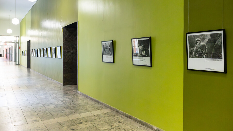 Bilderrahmen hängen in einem grünen Flur an der Wand