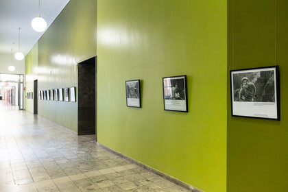 Bilderrahmen hängen in einem grünen Flur an der Wand