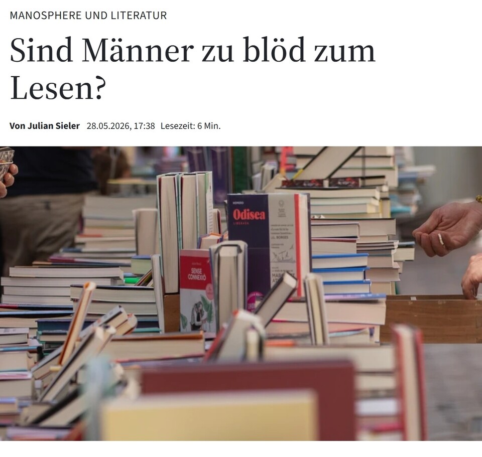 Werbebild der FAZ zum Essay MANOSPHERE UND LITERATUR