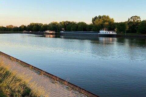 Neckar in the evening sun