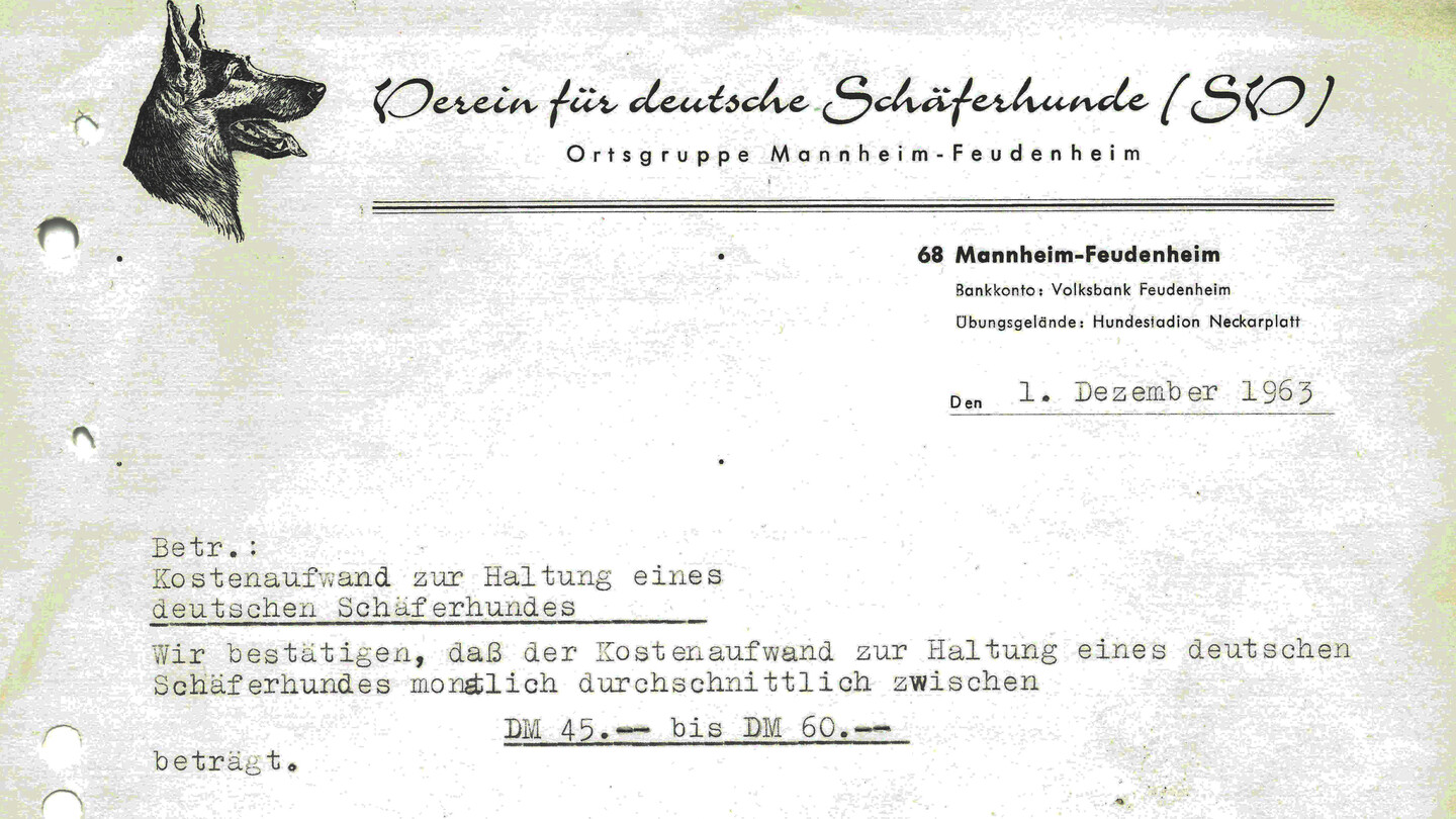 Auf den 01.12.1963 datiertes Schreiben des Vereins für deutsche Schäferhunde zu den Haltungskosten eines Schäferhunds zwischen 45 und 60 DM
