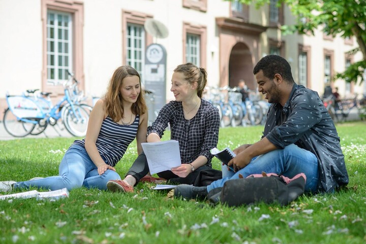 Studierende sitzen auf einer Wiese vor dem Schloss und unterhalten sich miteinander.