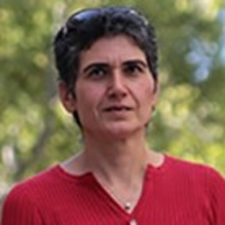 Avideh Zakhor