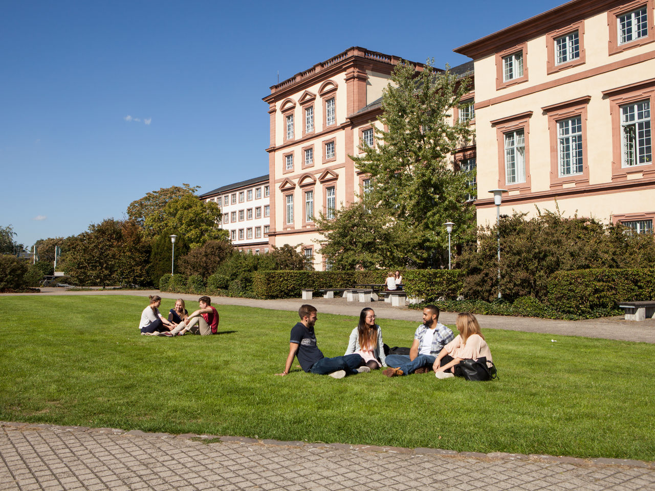 Auf einer Wiese sitzen Gruppen von Studierenden. Im Hintergrund ist das Schloss Mannheims.
