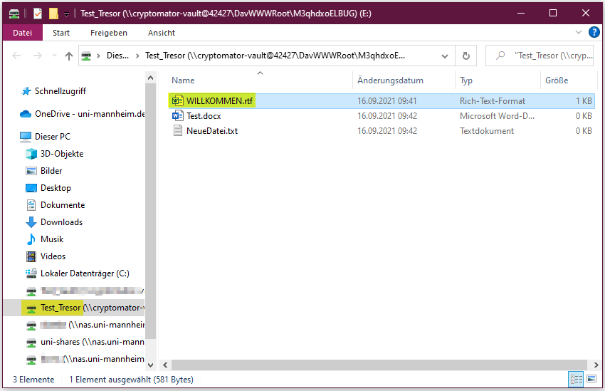 Dateiansicht des Tresors Screenshot Dateiansicht des Tresors