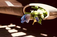 Eine Blume mit etwas Grün rakt aus einem Metallrohr heraus