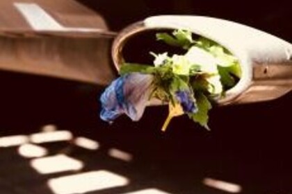 Eine Blume mit etwas Grün rakt aus einem Metallrohr heraus