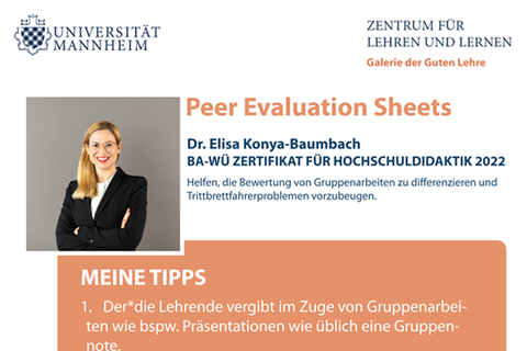 Peer Evaluation Sheets von Doktor Elisa Konya-Baumbach.