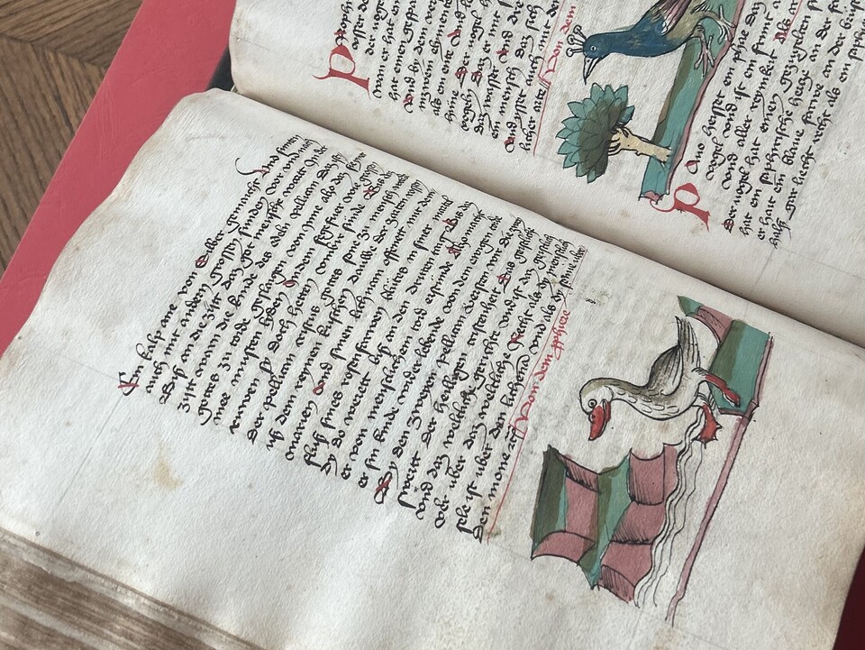 Zwei Seiten einer spätmittelalterlichen Handschrift mit Text und kolorierten Federzeichnungen.
