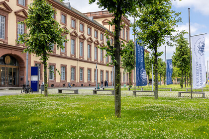 Außenaufnahme des Ostflügels des Mannheimer Schlosses. Im Vordergrund Bäume und eine grüne Wiese. Die Flaggen im Eingangsbereich, die das Siegel der Universität Mannheim tragen, sind auf Halbmast.