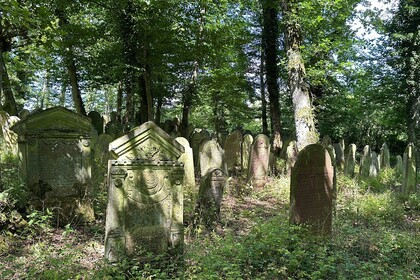 In einem Wald stehen durcheinander viele Grabsteine mit hebräischer Aufschrift