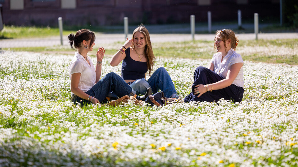 Drei Studentinnen sitzen auf einer Wiese auf dem Campus.