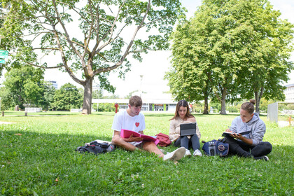 Drei Studierende sitzen auf der Wiese und lernen.