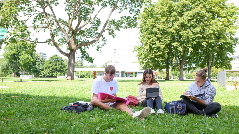 Drei Studierende sitzen auf der Wiese und lernen.