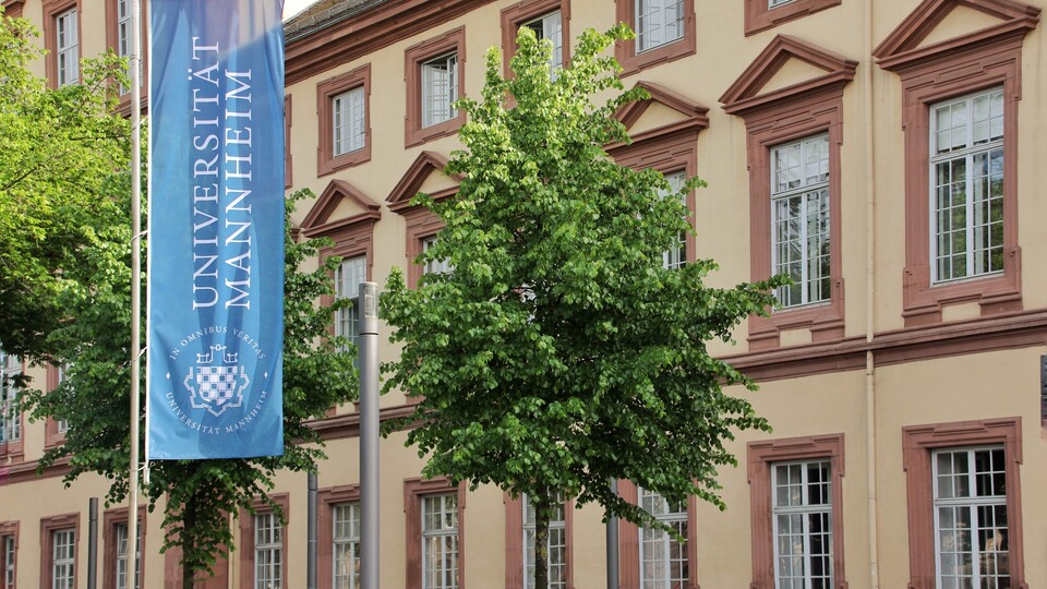 Fahne und Baum vor dem Schloss