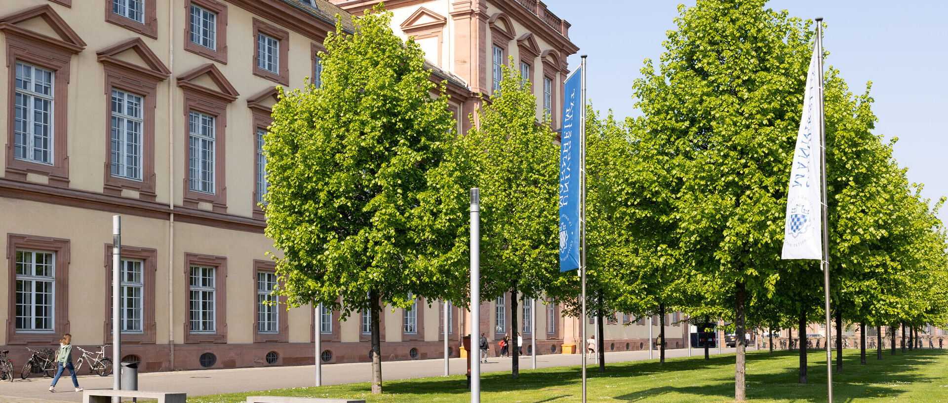 Blick auf den Ostflügel der Universität Mannheim mit grünen Bäumen im Vordergrund und der sandsteinfarbenen Schlossfassade im Hintergrund. Ganz vorne blaue Banner mit dem Universitätssiegel und dem Schriftzug UNIVERSITÄT MANNHEIM.