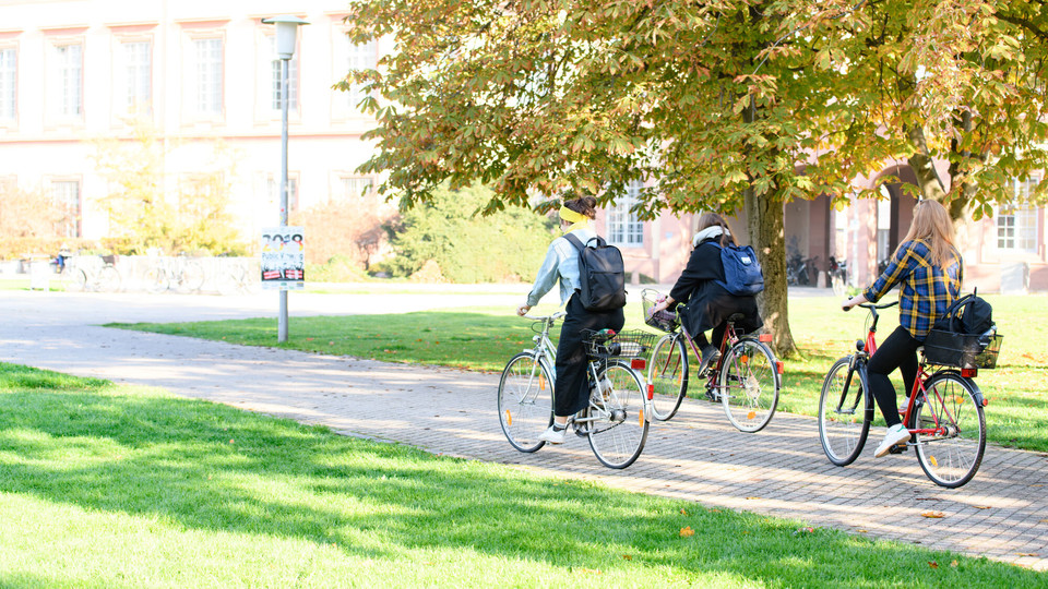 Campusleben Drei Studentinnen fahren mit dem Fahrrad an einem herbstlichen Baum vorbei.