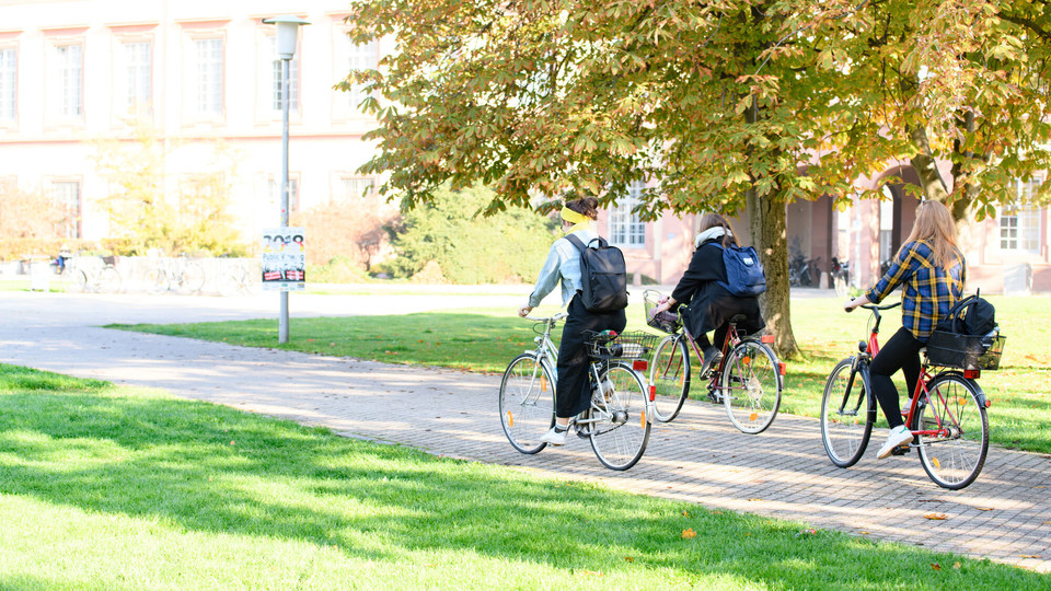 Drei Studentinnen fahren mit dem Fahrrad an einem herbstlichen Baum vorbei.