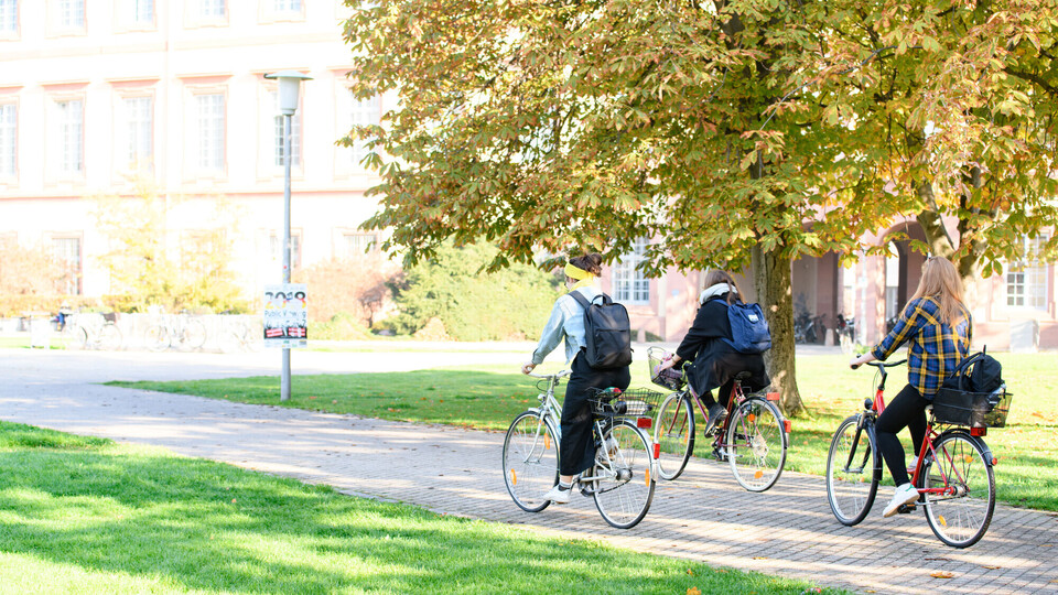 Campusleben Drei Studentinnen fahren mit dem Fahrrad an einem herbstlichen Baum vorbei.