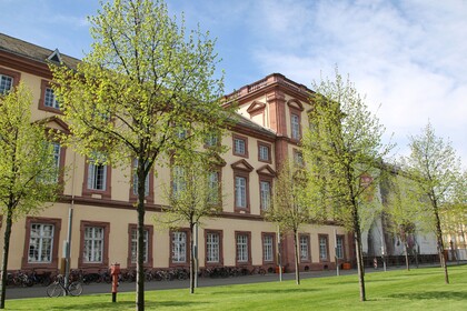 Das Mannheimer Schloss im Frühling, im Vordergrund blühende Bäume 