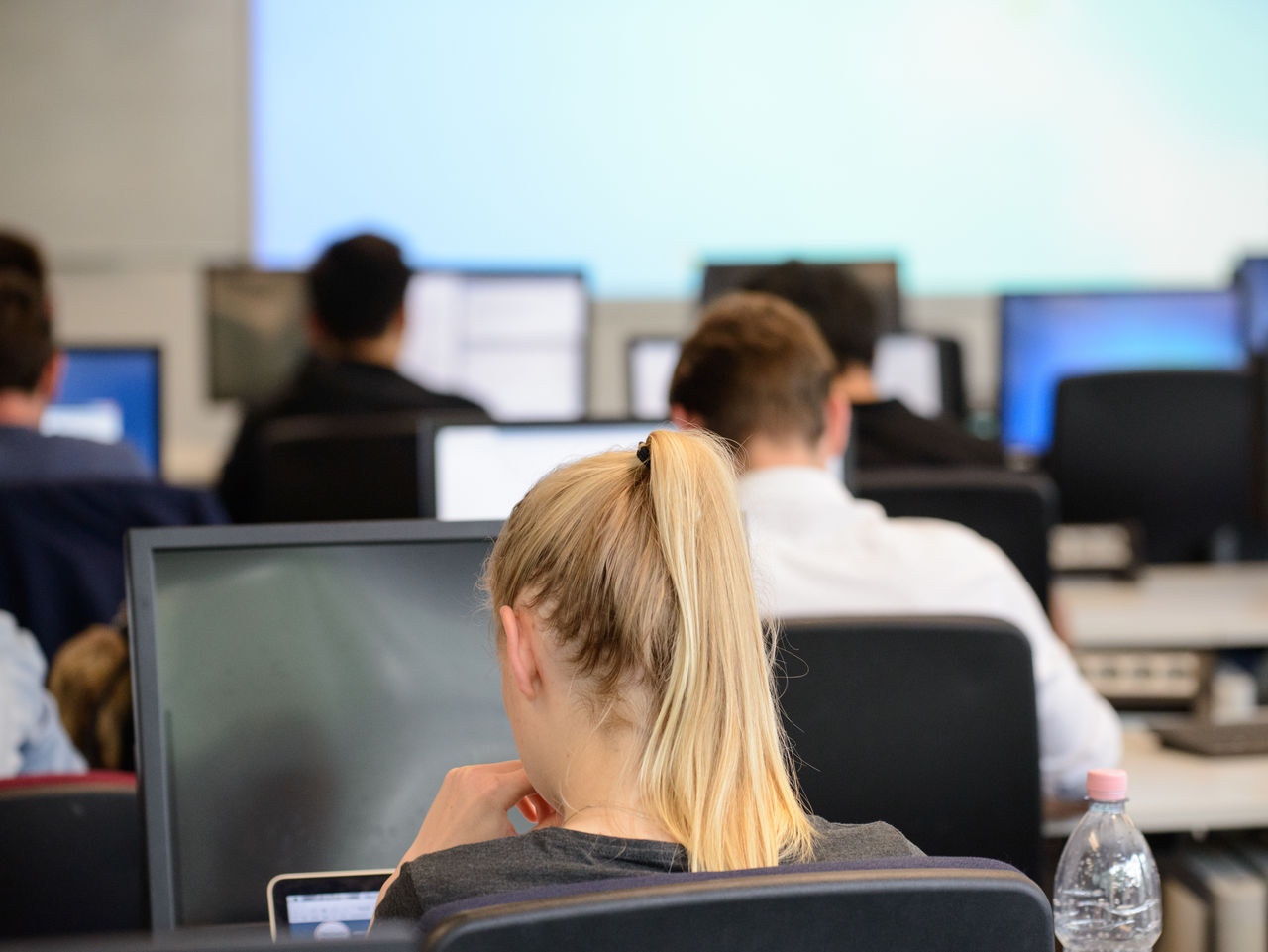 Rückenansicht von Studierenden, die in Reihen an Computer-Bildschirmen sitzen.