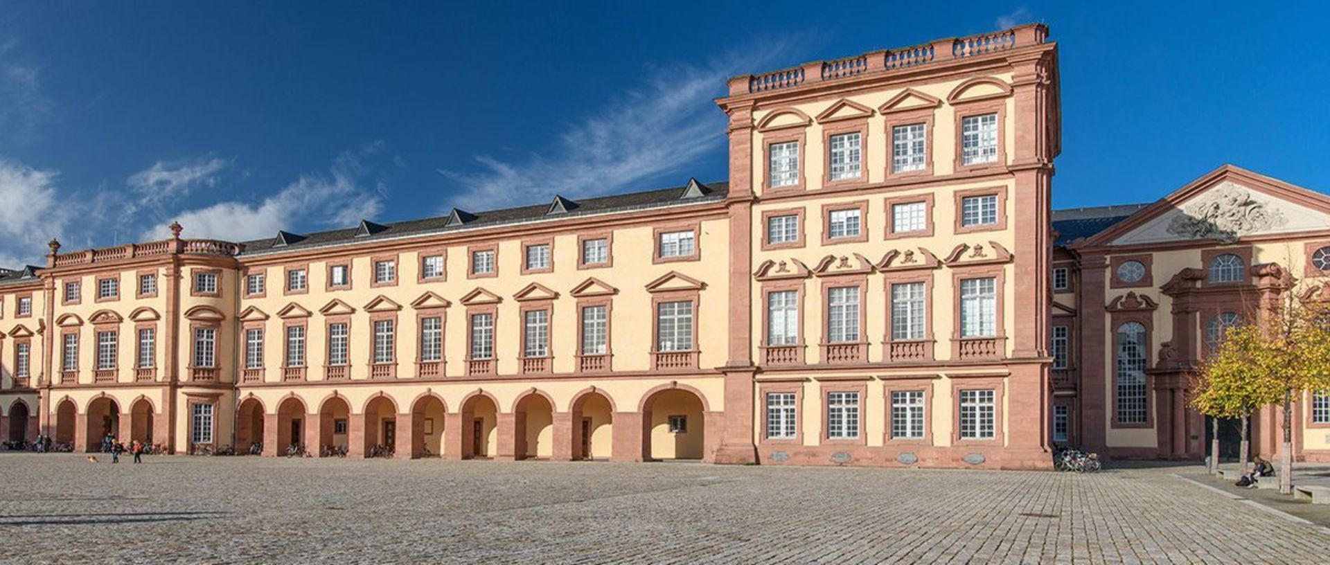 jobbörse uni mannheim