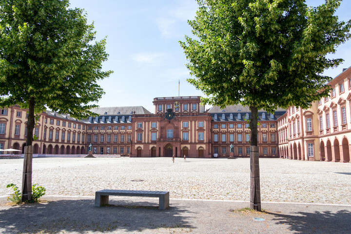 Schloss, Ehrenhof