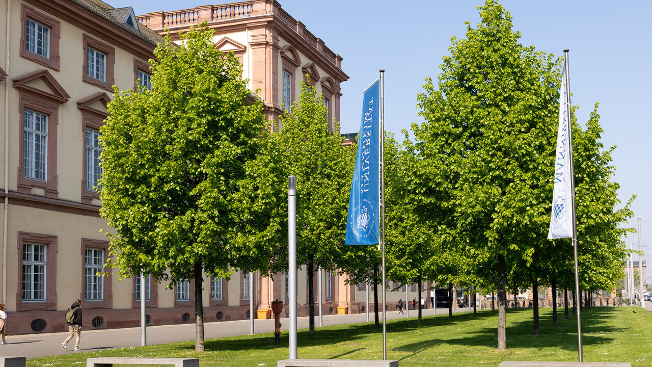 Außenansicht des Mannheimer Schloss. Davor Bäume auf einer Wiese und zwei wehende Universitätsflaggen.