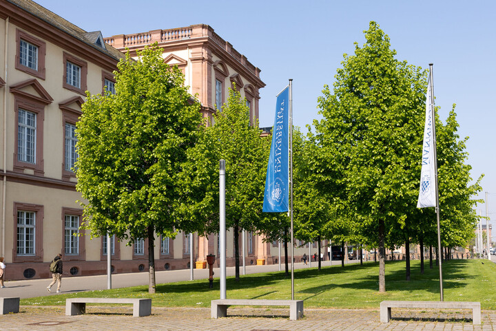 Außenansicht des Mannheimer Schloss. Davor Bäume auf einer Wiese und zwei wehende Universitätsflaggen.