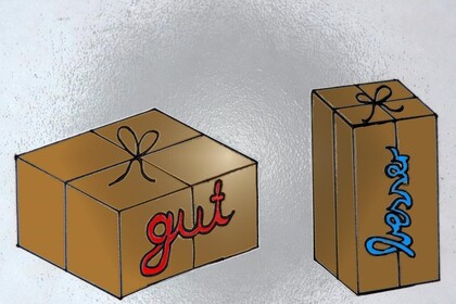 Ein braunes Paket mit dem roten Schriftzug "gut" steht quer, ein anderes mit dem blauen Schriftzug "besser" hochkant vor grauem Hintergrund.