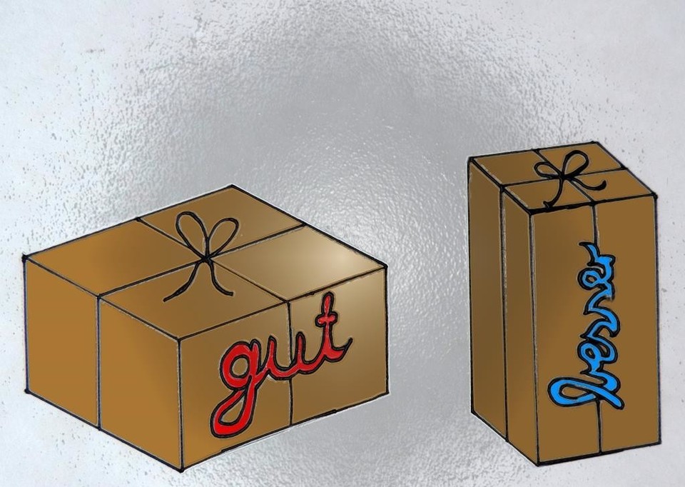 Ein braunes Paket mit dem roten Schriftzug "gut" steht quer, ein anderes mit dem blauen Schriftzug "besser" hochkant vor grauem Hintergrund.