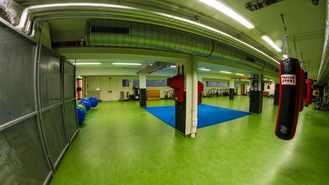 Räumlichkeiten im Untergeschoss von E7, der Boden ist grün, es sind Boxsäcke aufgehängt und mittig liegt eine blaue Trainingsfläche.