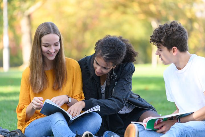 Drei Studierende sitzen mit ihren Büchern auf einer Wiese.