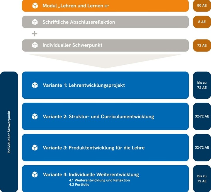 Schaubild zum Modul III: Varianten zur Wahl der individuellen Schwerpunktsetzung