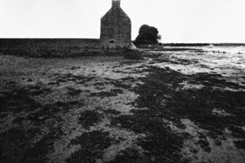 Schwarz-weiß-Foto eines Hauses am Watt.