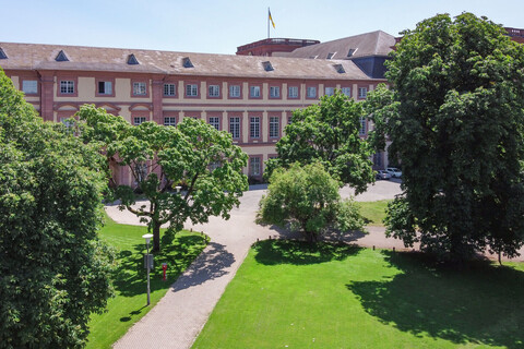 Der grüne und sommerliche Ehrenhof West des Mannheimer Schlosses