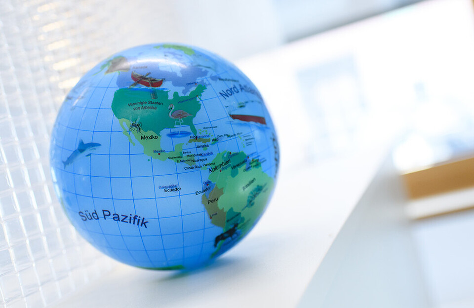 Globus vor weißem Hintergrund und Fenster.