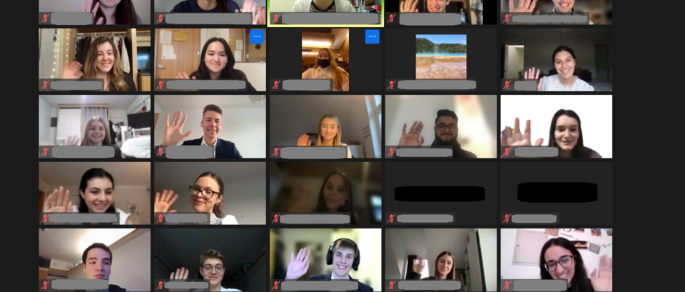 Screenshot von Kacheln aus einem Videocall