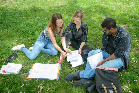 Drei Studierende sitzen auf einer Wiese und lernen gemeinsam.