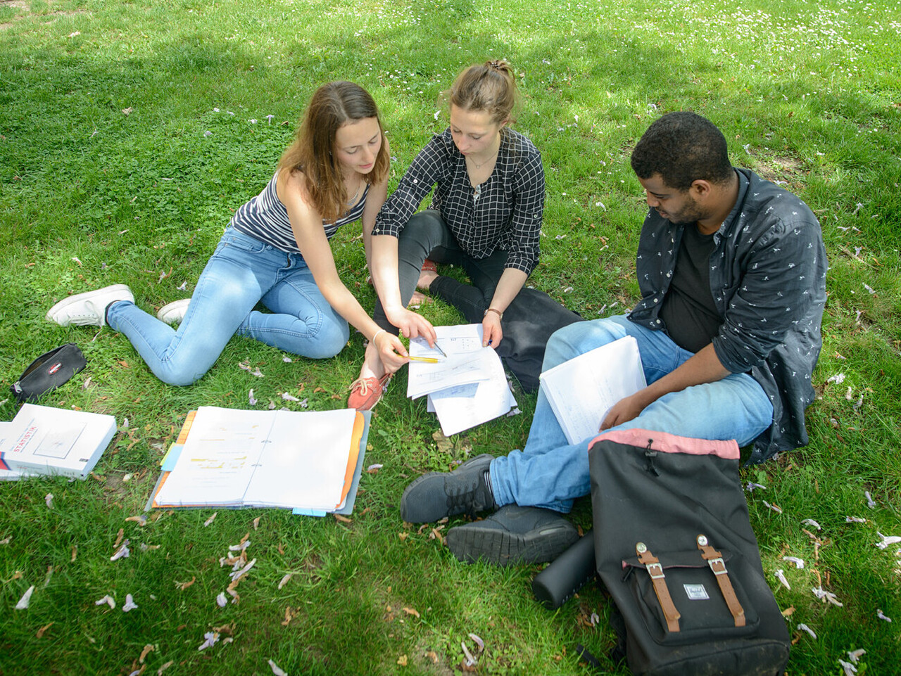 Studierende auf der Mensawiese Drei Studierende sitzen auf einer Wiese und lernen gemeinsam.