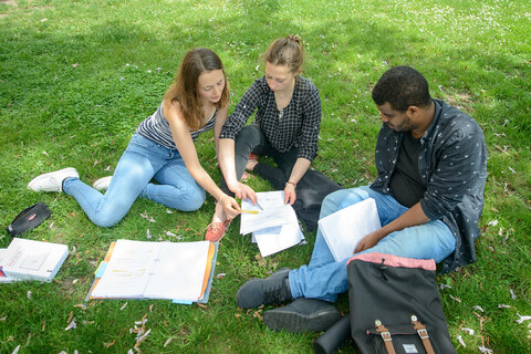 Drei Studierende sitzen auf einer Wiese und lernen gemeinsam.