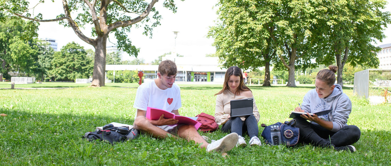 bachelor in linguistics